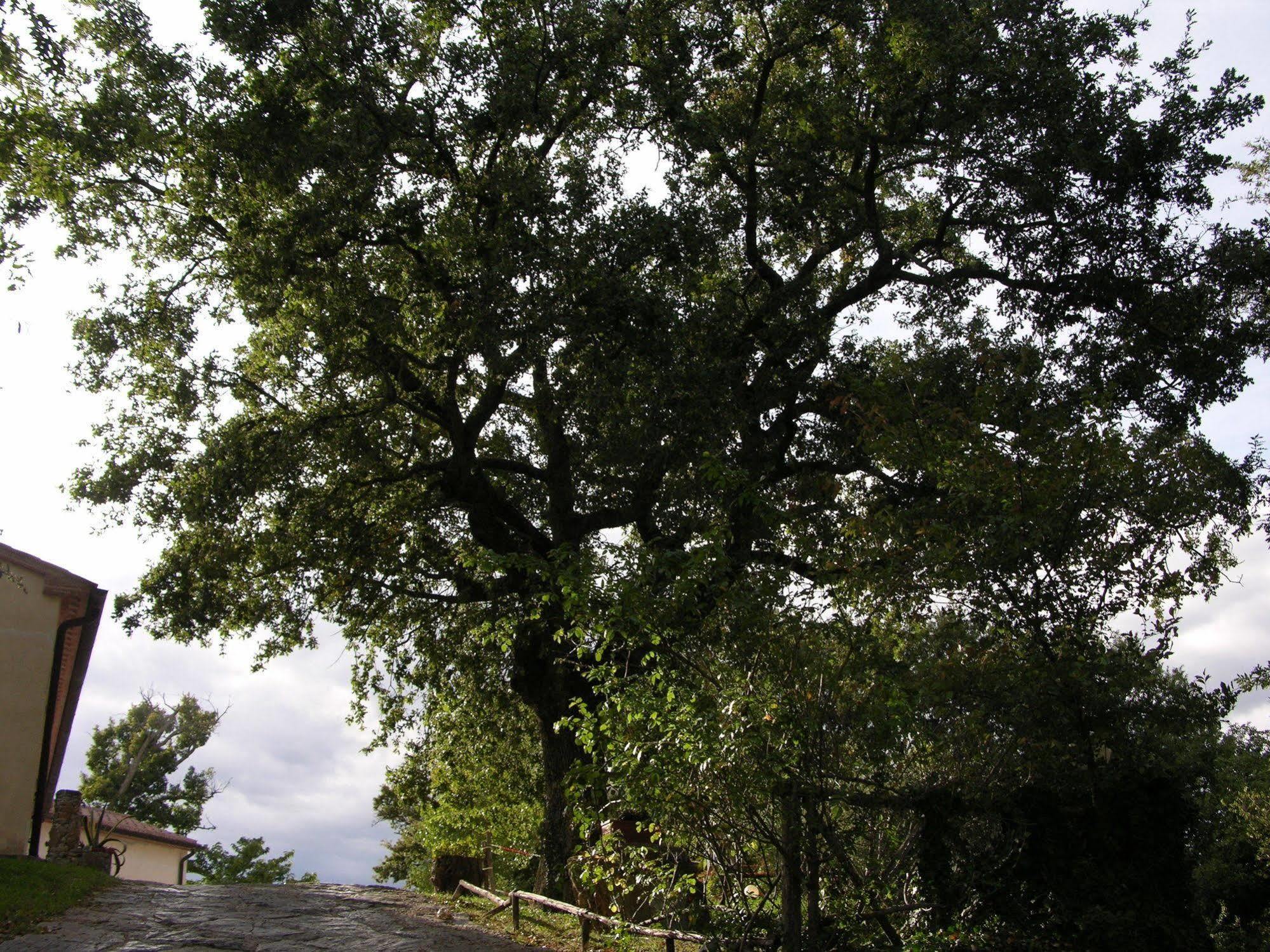 Agriturismo La Meria Semproniano Luaran gambar
